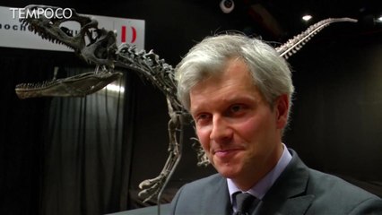 Fosil Dinosaurus Dilelang Seharga Satu Juta Euro