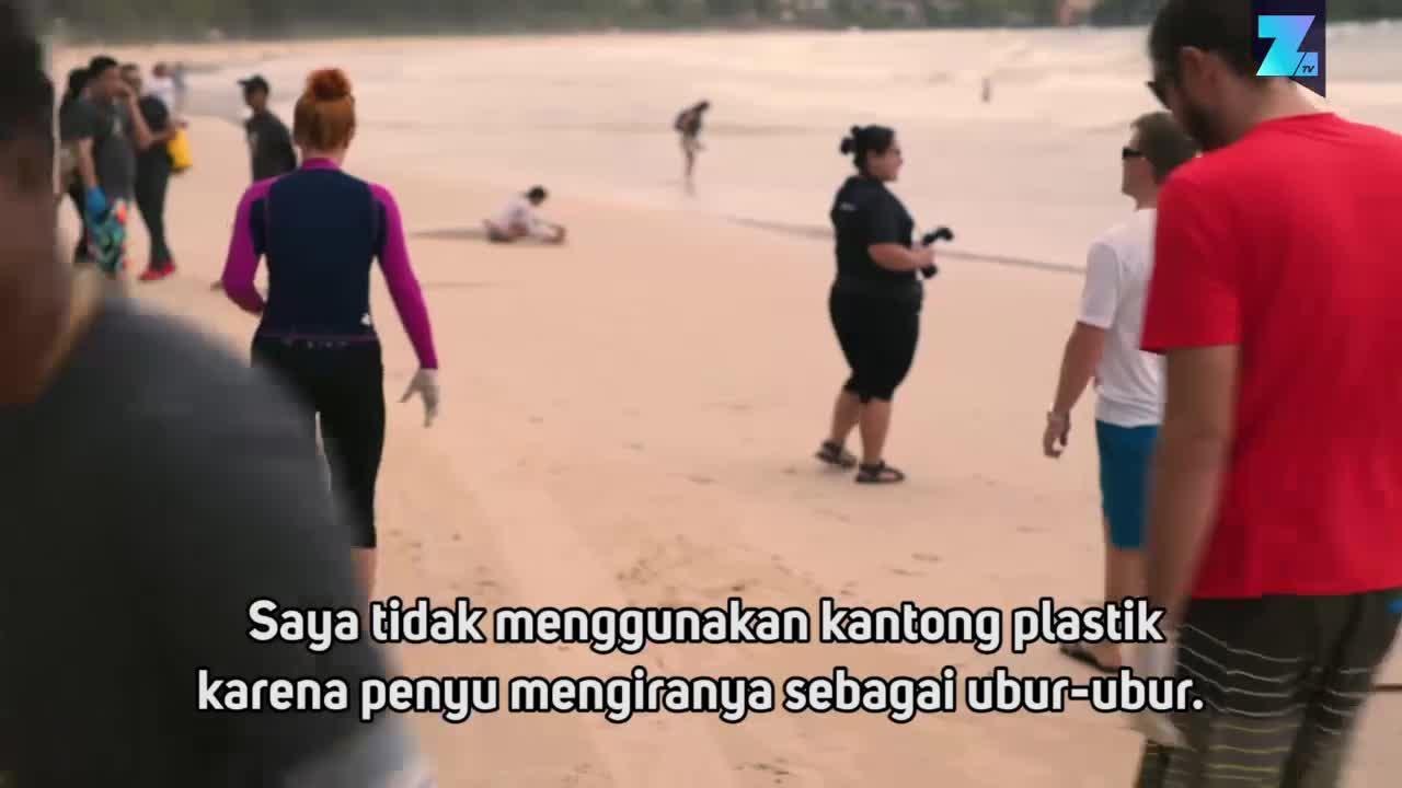 Selamatkan Penyu Cacat