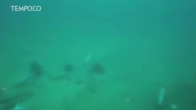 Penyelamatan Perahu Terbalik di Thailand