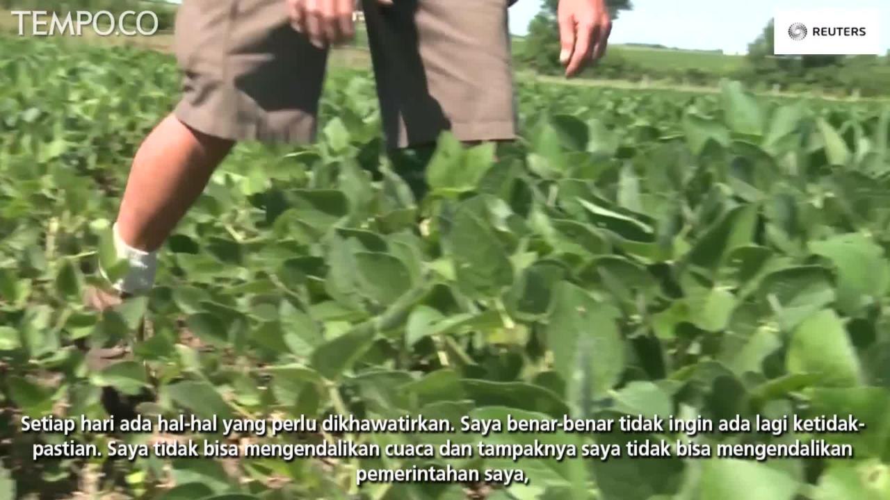 Perang Dagang Amerika dan Cina, Ini Dampak Bagi Petani Kedelai