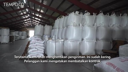Uni Eropa Naikan Tarif, Produsen Kacang Merah AS Khawatir