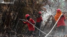 Jokowi Divonis Bersalah Atas Kasus Kebakaran Hutan