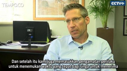 Fakta Anak Singa Lahir dari Inseminasi Buatan