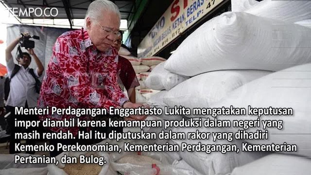 Mengurai Silang Sengketa Impor Beras