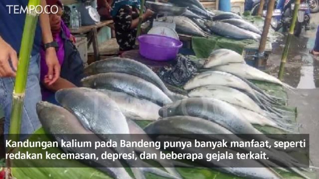 Jadi Tradisi Imlek, Ini 7 Manfaat Ikan Bandeng bagi Tubuh
