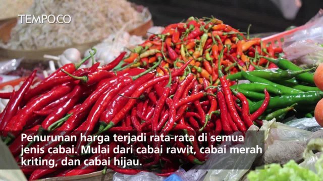 Harga Cabai Turun Drastis