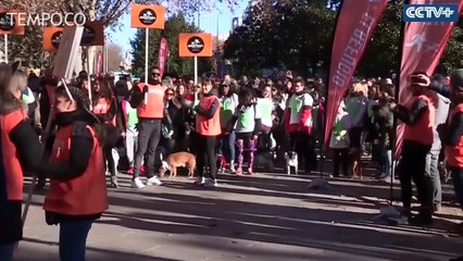 Ratusan Anjing Turun ke Jalan untuk Promosikan Sadar Adopsi Hewan