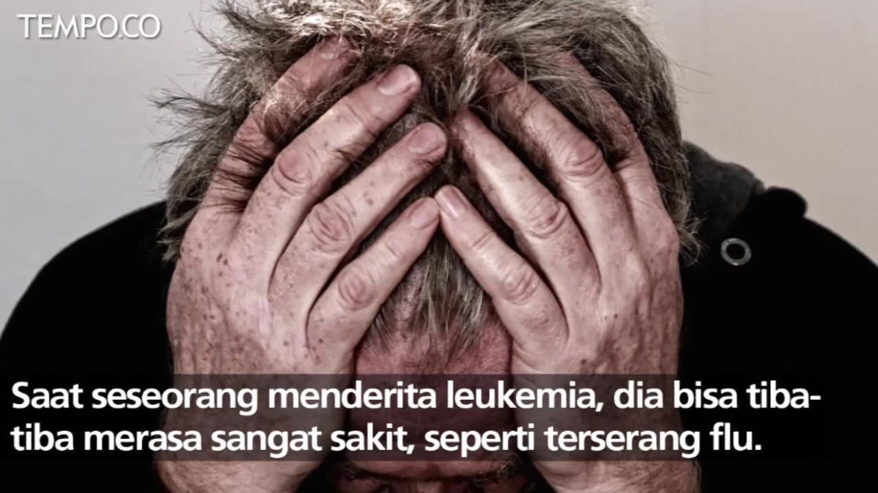 Ani Yudhoyono Divonis Kanker Darah, Kenali Jenis-jenisnya