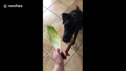 To be healthy? Or not to be healthy? That is the question