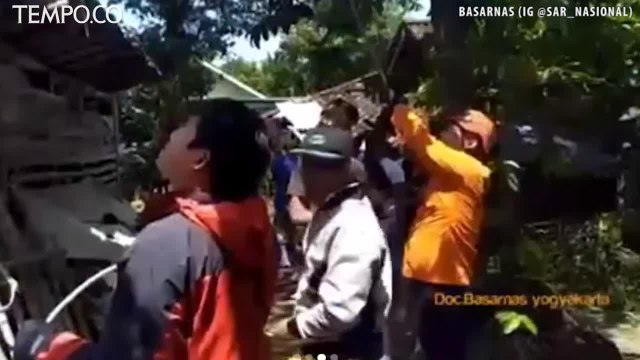 Memanen Melinjo, Terjebak di Atas Pohon, Walijo Dievakuasi Basarnas