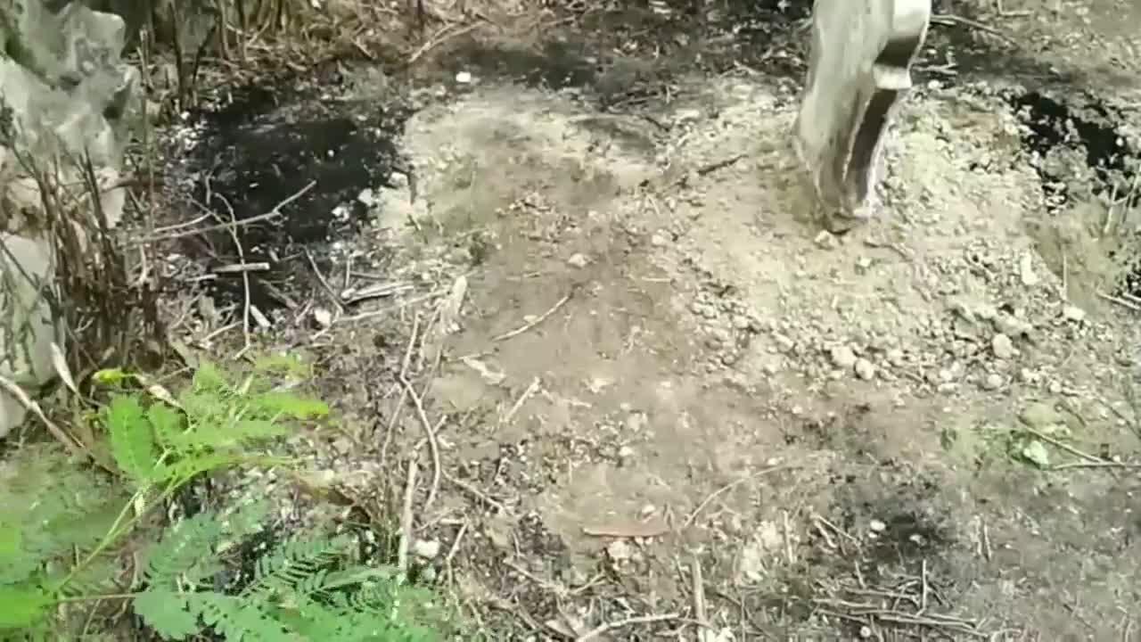Viral Aksi Pembakaran dan Perusakan Makam di TPU Resahkan Warga