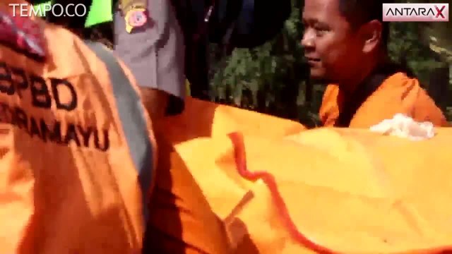 Korban Jatuhnya Pesawat Cessna Ditemukan Meninggal