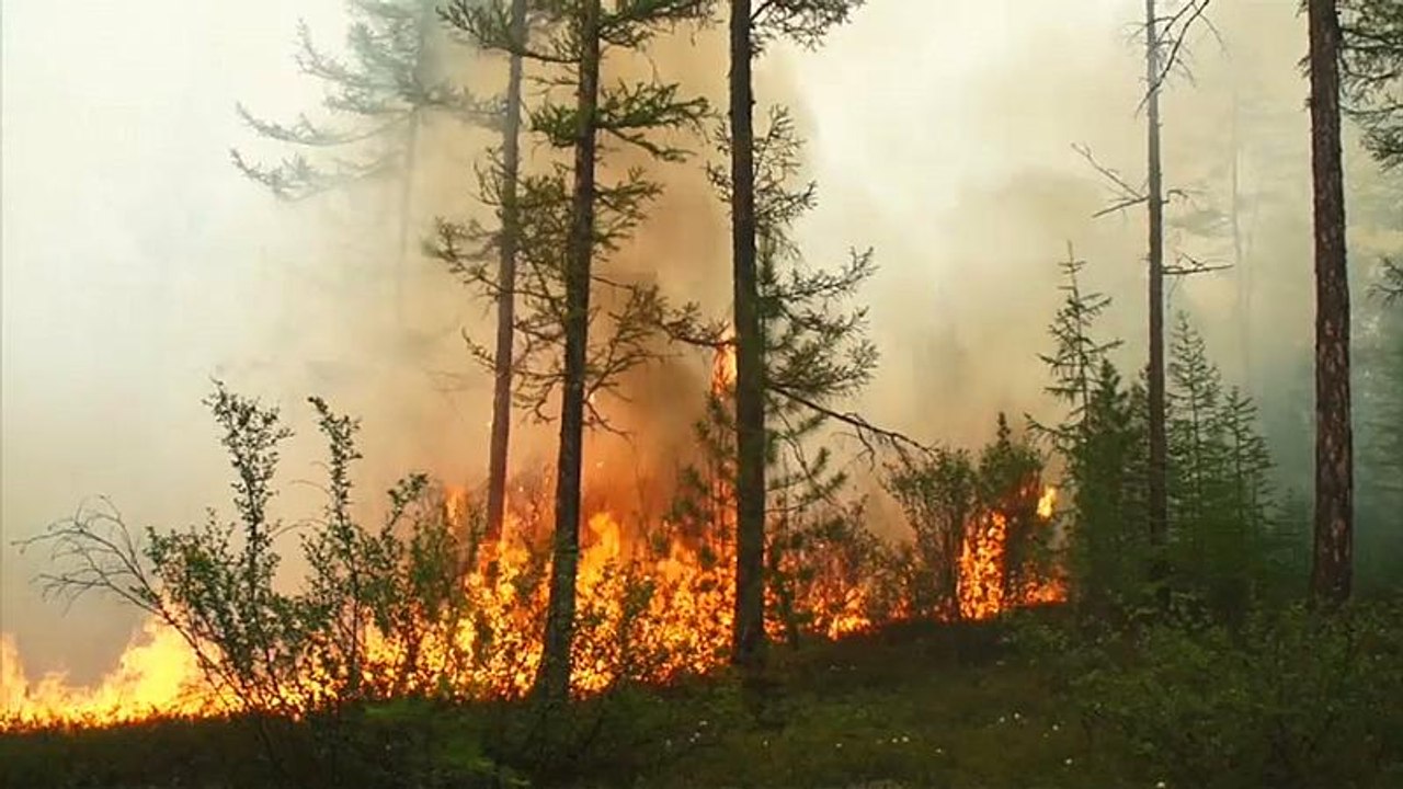 Arktisbrände setzen 121 Megatonnen CO2 frei