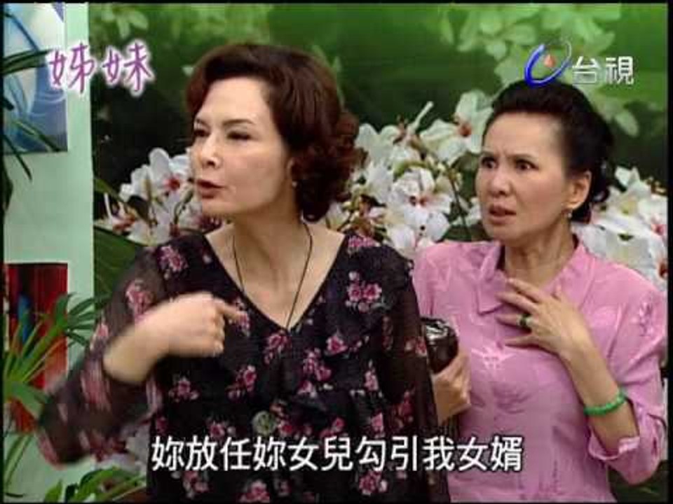 姊妹 第 46 集