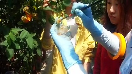 만안출장타이OiOE7362E3210｛카톡BB5858｝ぱ만안출장안@마ぱ만안출장샵ぱ만안출장맛사지 ぱ만안출장걸썰 만안출장걸가격 만안출장러시아 만안외국인후불출장업소 만안24시출장마사지샵'예약プポマ