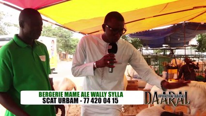 DAARAL OPÉRATION TABASKI - Pr : Madiop Pekh - 29 Juillet 2019