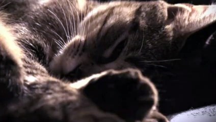 성남출장타이O7OW7301W9649｛카톡ZF66｝ぱ성남출장안@마ぱ성남출장샵ぱ성남출장맛사지 ぱ성남출장걸썰 성남출장걸가격 성남출장러시아 성남외국인후불출장업소 성남24시출장마사지샵'예약▨¶