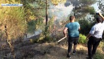 Sultangazi Kent Ormanı Yangını