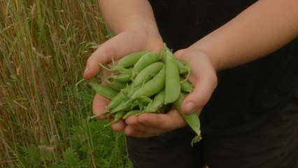 The Faces Of Farmers Is Changing
