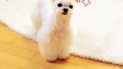 칠곡출장타이Ø1ØA7685A6221｛카톡MGM1472｝ぱ칠곡출장안@마ぱ칠곡출장샵ぱ칠곡출장맛사지 ぱ칠곡출장걸썰 칠곡출장걸가격 칠곡출장러시아 칠곡외국인후불출장업소 칠곡24시출장마사지샵'예약パヒビ