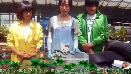 이천출장타이Ø7ØA7575A0069｛카톡CC6969｝ぱ이천출장안@마ぱ이천출장샵ぱ이천출장맛사지 ぱ이천출장걸썰 이천출장걸가격 이천출장러시아 이천외국인후불출장업소 이천24시출장마사지샵'예약♪▩▦