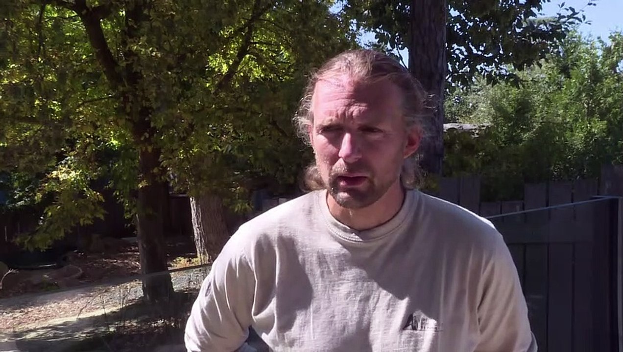 Pudu nasce em zoo francês