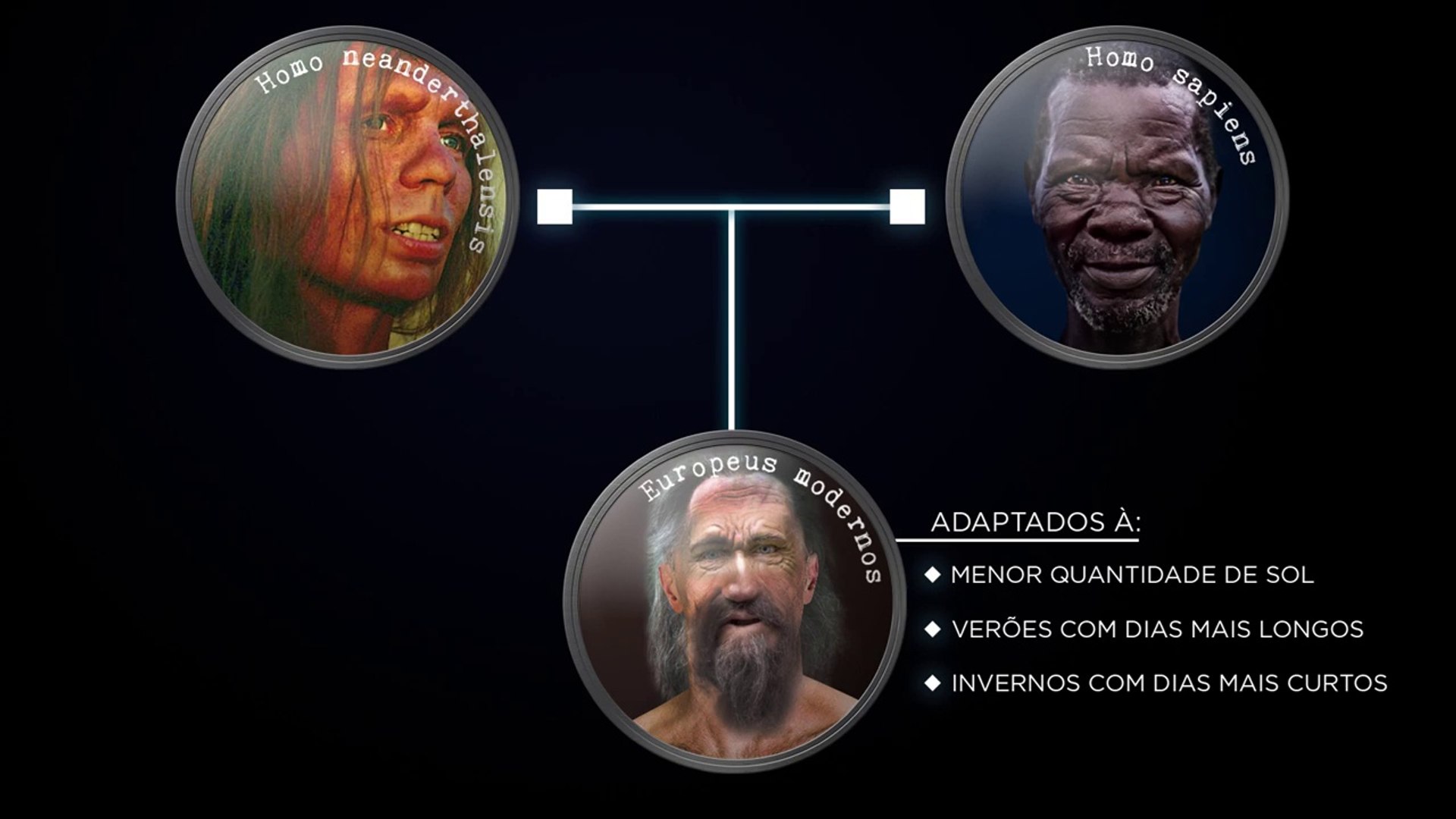 ⁣Como surgiu o sexo