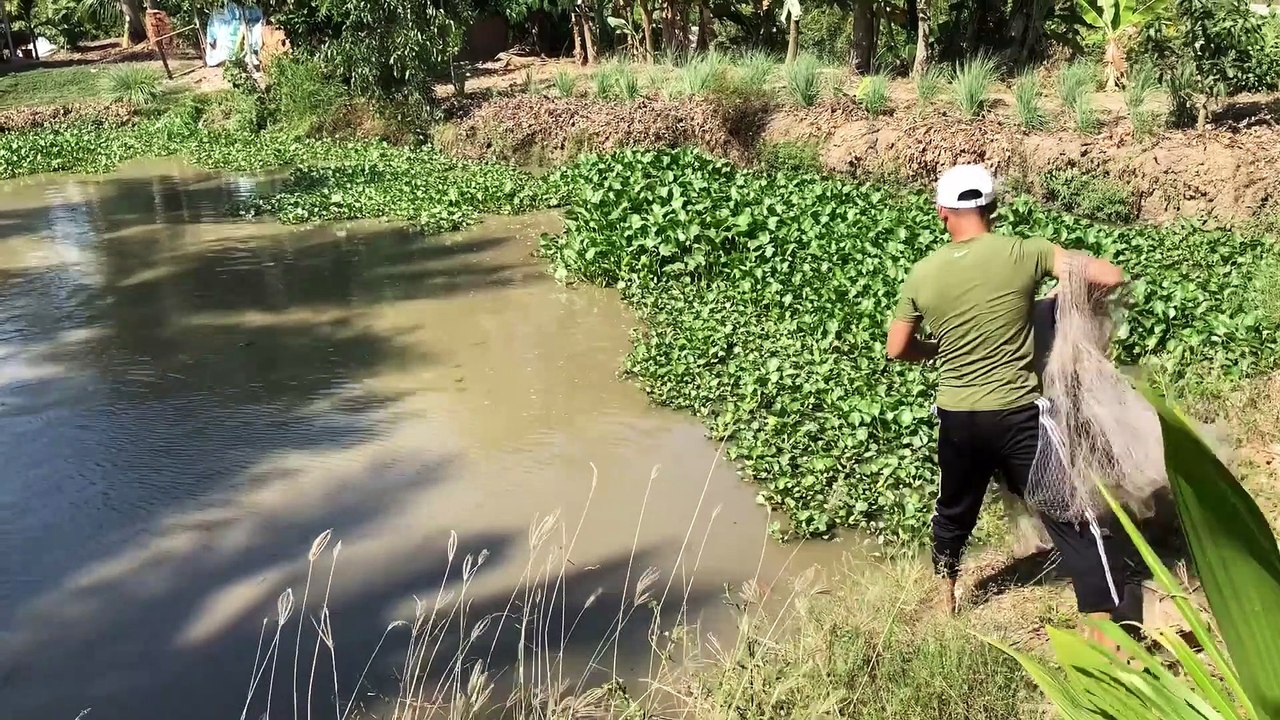Chài điêu hồng lên ăn vậy mới ngon
