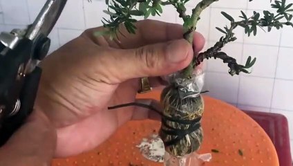 남양주출장타이OiOE7362E3210｛카톡RQ43｝ぱ남양주출장안@마ぱ남양주출장샵ぱ남양주출장맛사지 ぱ남양주출장걸썰 남양주출장걸가격 남양주출장러시아 남양주외국인후불출장업소 남양주24시출장마사지샵'예약てでと