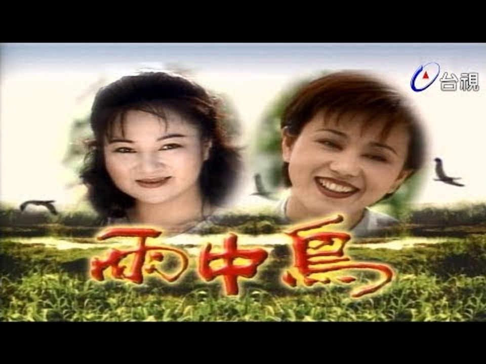 雨中鳥 第 39 集