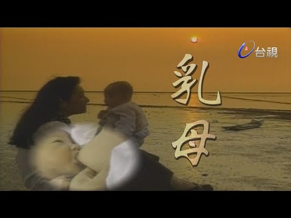 乳母 第 29 集