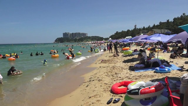 [날씨] 열대야 이어 한낮 찜통더위...중부 소나기 / YTN