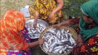 300 Labeo Bata Fish Curry Cooking For 300+ Village People By 15 Women - Fish Fest
