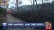Sécheresse: 25 hectares de forêt ont brûlé dans un incendie à Saint-Mandrier