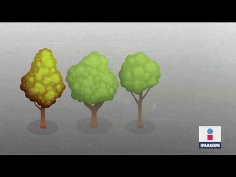 Estas son las condiciones para construir el aeropuerto de Santa Lucía | Noticias con Ciro Gómez