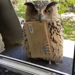 USPS has new delivery services