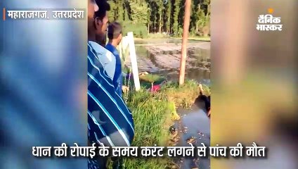 महाराजगंज में धान की रोपाई के समय करंट लगने से पांच की मौत
