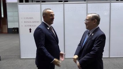 Dışişleri Bakanı Çavuşoğlu, Filipinli mevkidaşıyla görüştü