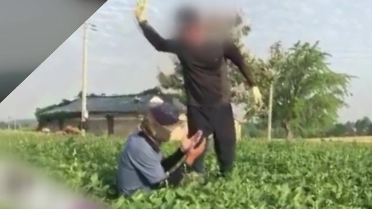 "사장님, 장갑 주세요" 말하자 주먹질..."우즈베크 당국, 고발장 제출" / YTN