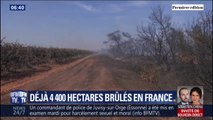 Incendies: 4400 hectares sont partis en fumée cet été en France, c'est déjà plus que l'an dernier