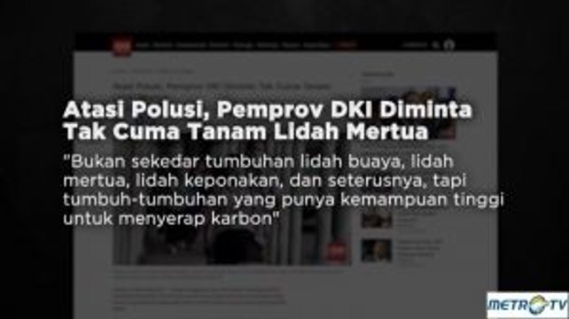 Antara Lidah Mertua dan Polusi Udara Jakarta