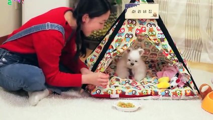 담양출장안마 -후불100%ョO7OW7333W9649｛카톡LGT010｝ 담양전지역출장안마 담양오피걸 담양출장마사지 담양안마 담양출장마사지 담양콜걸샵すずせ