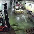 Un ours s'introduit dans une usine de poissons !