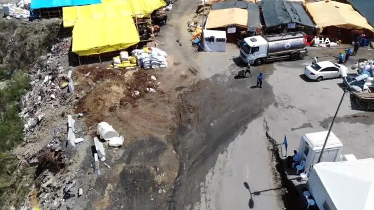 Kağıthane'de bir ton 200 kilogramlık tosun 22 bin liraya satıldı