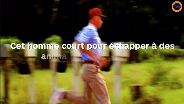 Un homme poursuivit par des bêtes féroces