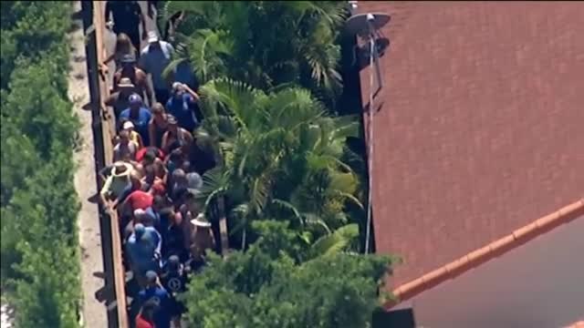 Decenas de turistas ayudan a liberar a cinco ballenas en Florida