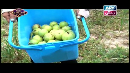 Desi Kuriyan Season 07 - Episode 29 - 29th July 2019