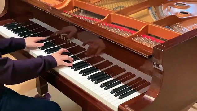 東方永夜抄 / 千年幻想郷〜History of the Moon / 上海アリス幻樂団【ピアノ】