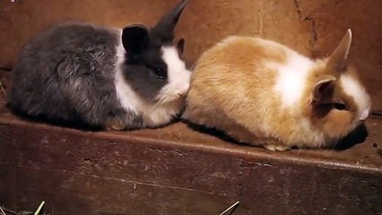 산청출장타이O7OW7301W9649｛카톡LA666｝ぱ산청출장안@마ぱ산청출장샵ぱ산청출장맛사지 ぱ산청출장걸썰 산청출장걸가격 산청출장러시아 산청외국인후불출장업소 산청24시출장마사지샵'예약≠±×