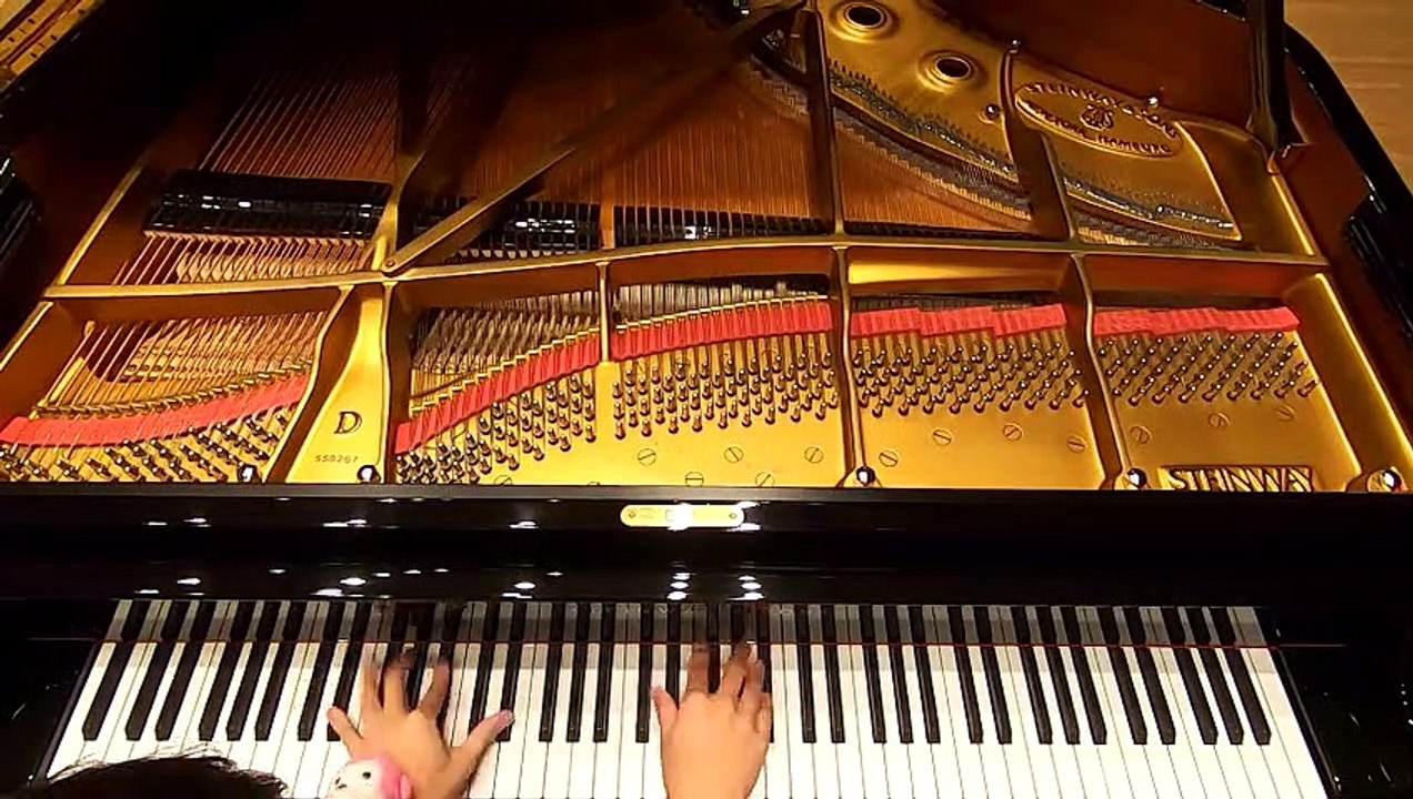 グランドピアノで東方の曲をメドレーにして弾いてみた2019